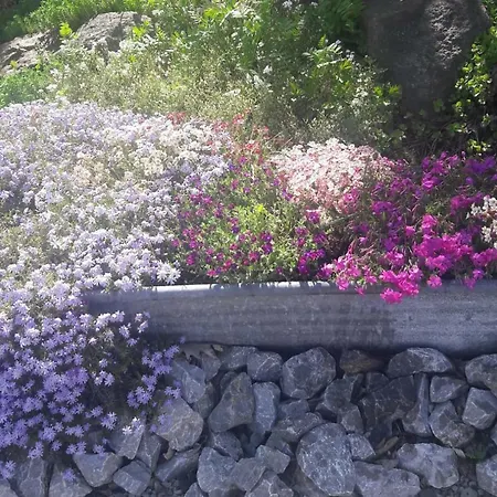 Bender 公寓 Gemunden (Westerwaldkreis)