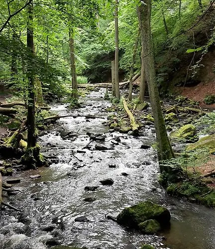 Apartamento Bender *