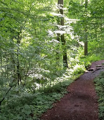 Apartamento Bender Gemunden (Westerwaldkreis)