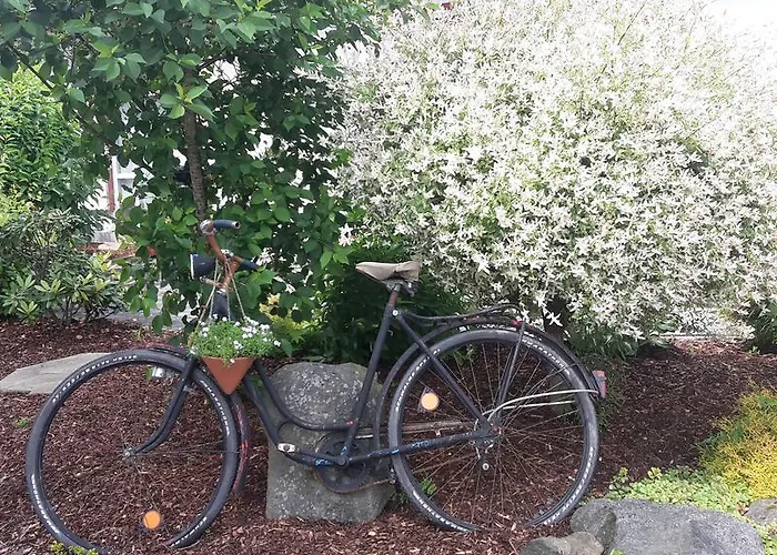 Bender * Gemunden (Westerwaldkreis)